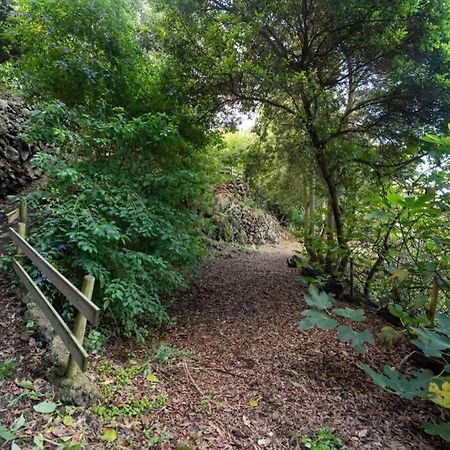 Апартаменты Finca El Molledo El Patio Икод-де-лос-Винос Экстерьер фото