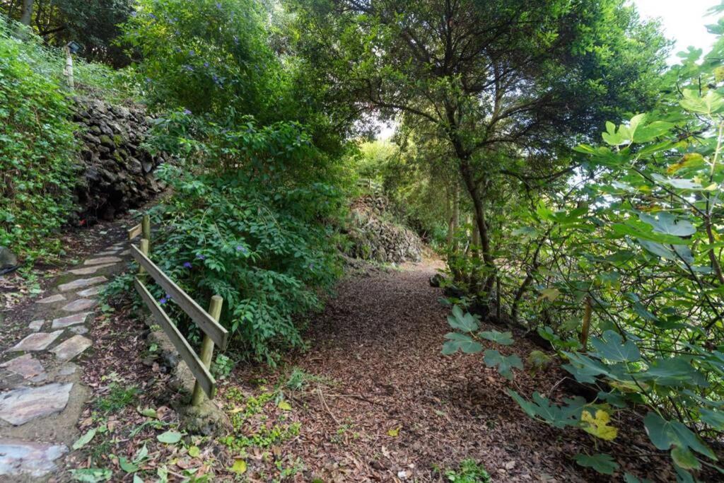 Апартаменты Finca El Molledo El Patio Икод-де-лос-Винос Экстерьер фото
